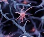 Low Extracellular Sodium Concentrations Can Suppress mRNA Expression in Brain Cells