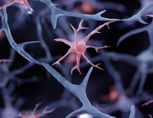 Low Extracellular Sodium Concentrations Can Suppress mRNA Expression in Brain Cells