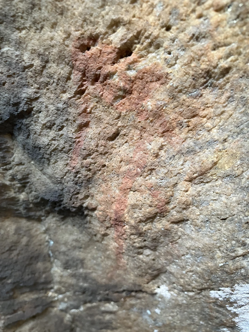 Ancient Genomes Reveal Long-Term Genetic Stability in Southernmost Africa