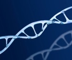 Ancient Genomes Reveal Long-Term Genetic Stability in Southernmost Africa