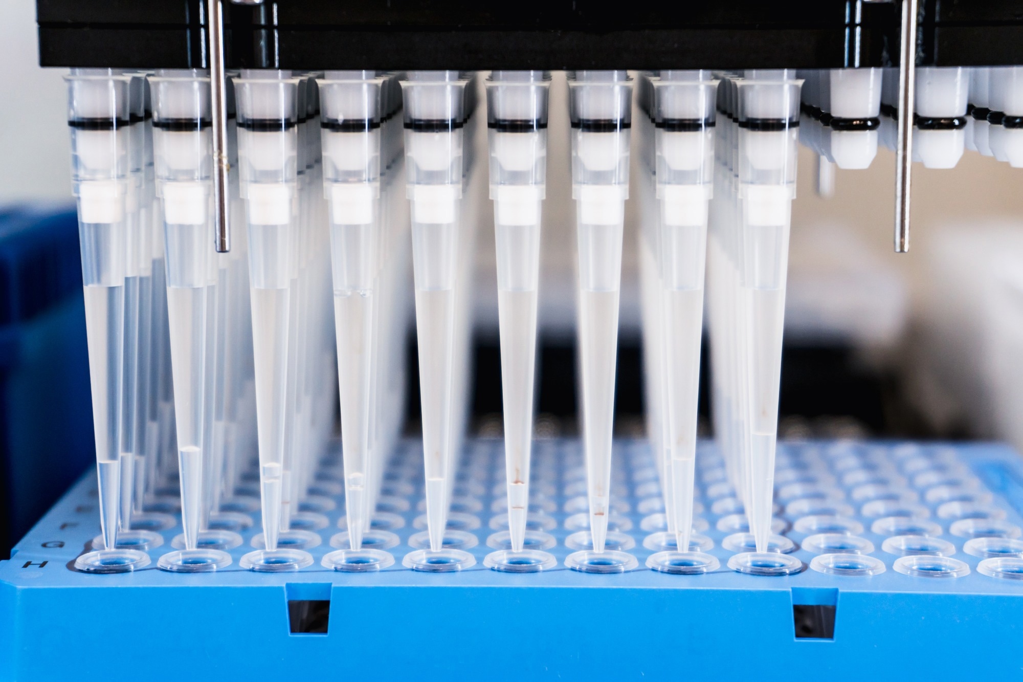 High-throughput screening identifies potential drugs for low-grade serous ovarian cancer