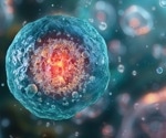 Stem Cell Study Reveals Developmental Dance Behind Individual Variation