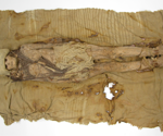 Metagenomic Study Reveals the Most Ancient Dairy Remains Known to Date