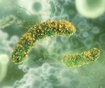 Bacteria Can Recode Their Genetics With a Single Flip