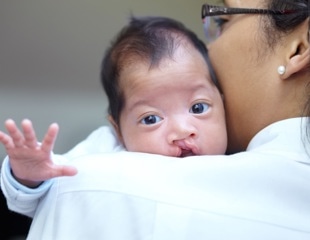 Motor And Extracellular Matrix Proteins Play A Critical Role In Cleft Palate Formation