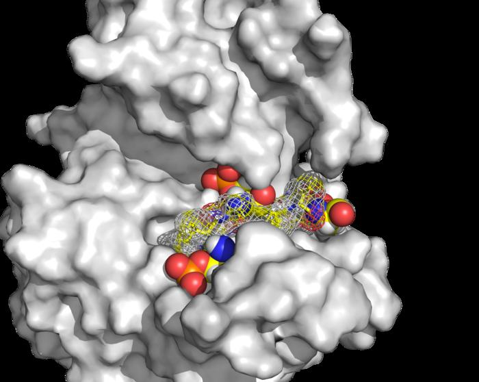 New Approaches to Treating Circadian Rhythm Disorders