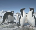 Tracking to Theory: Biologging’s Role in Answering Ecology’s Big Questions