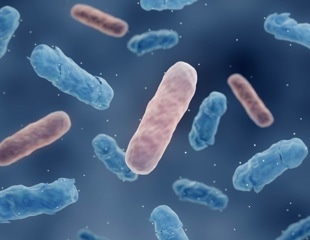 New Study Compares MALDI-TOF MS Assays for Detecting Carbapenemase Activity