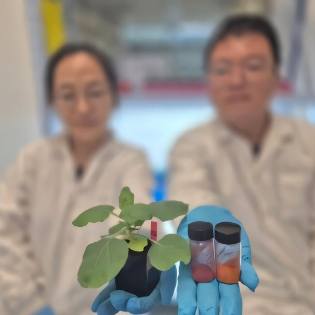 Smart Researchers Pioneer Method to Detect Dehydration in Plants