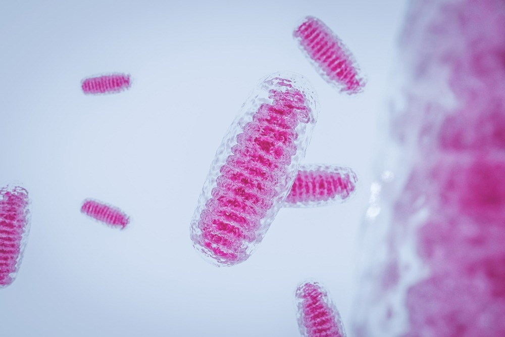 Mitochondria