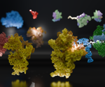The Role of RNA Polymerase and Ribosomes in Gene Expression