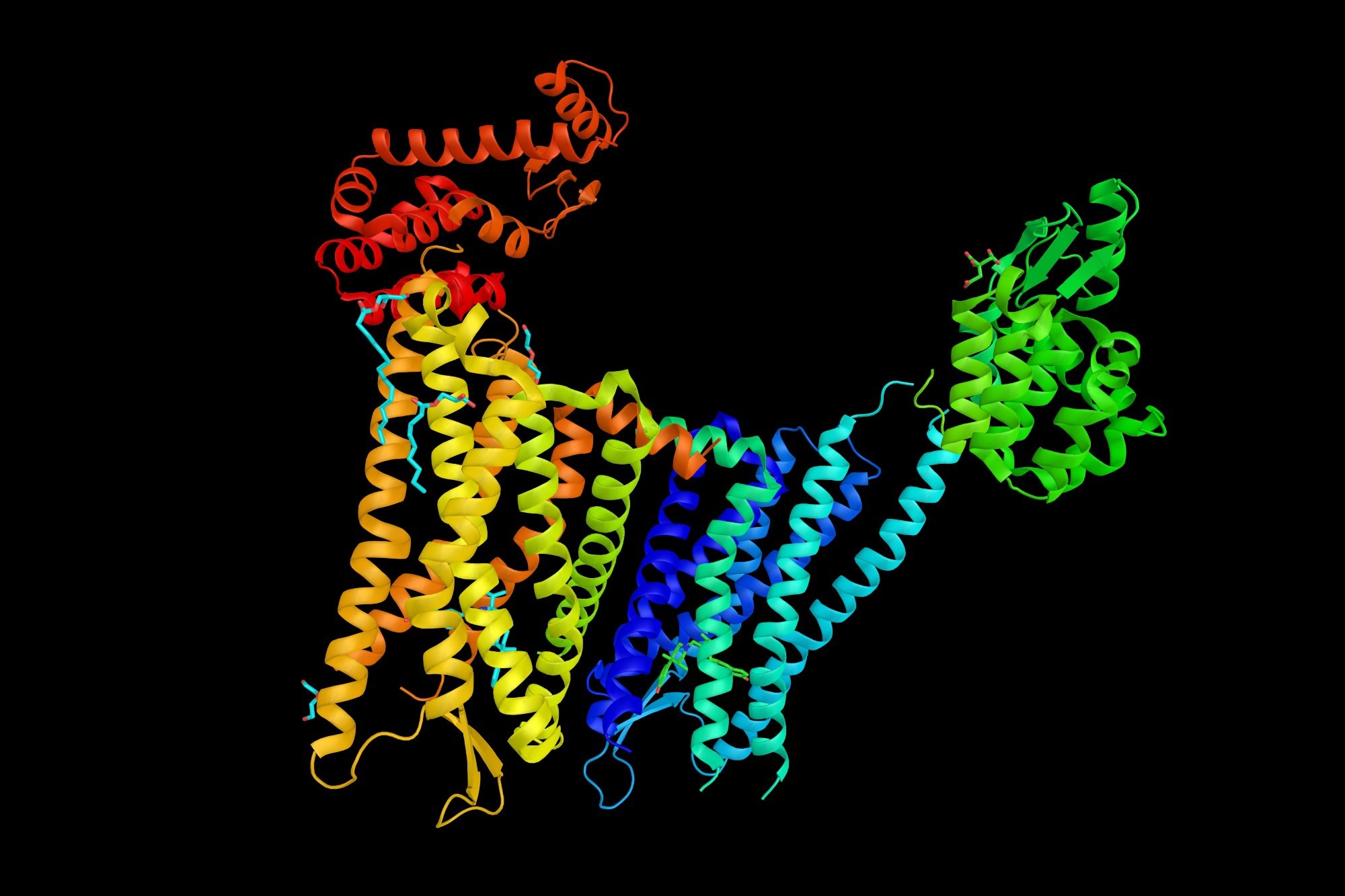 Human k-opioid receptor, a member of a group of inhibitory G protein-coupled receptors with opioids as ligands.