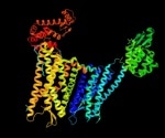 Programmable G-protein-coupled receptors redefine therapeutic applications.