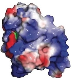 Scientists Discover Key to Overcoming Cancer