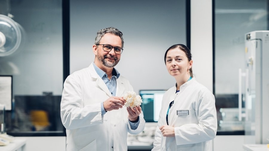 New Strategy to Combat Antibiotic-Resistant Bacteria