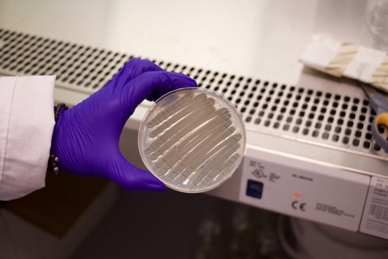 Scientists Mimic Fungal Process to Create Novel Medicines