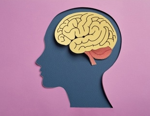 Mapping the Aging Brain: A Single-Cell View of Transcriptomic Changes