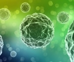 Is Calcium Signaling the Bridge Between Unicellular and Multicellular Life?