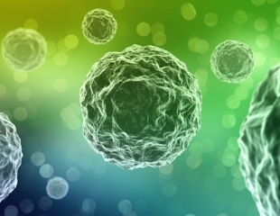 Is Calcium Signaling the Bridge Between Unicellular and Multicellular Life?
