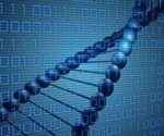 Researchers Complete Synthetic Yeast Chromosome, Advancing Genome Engineering