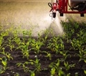 Global Review Shows Alarming Impacts of Pesticides on Biodiversity and Ecosystems