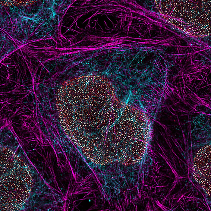 Leica Microsystems and ATTO-TEC Join Forces to Advance Microscopy Imaging