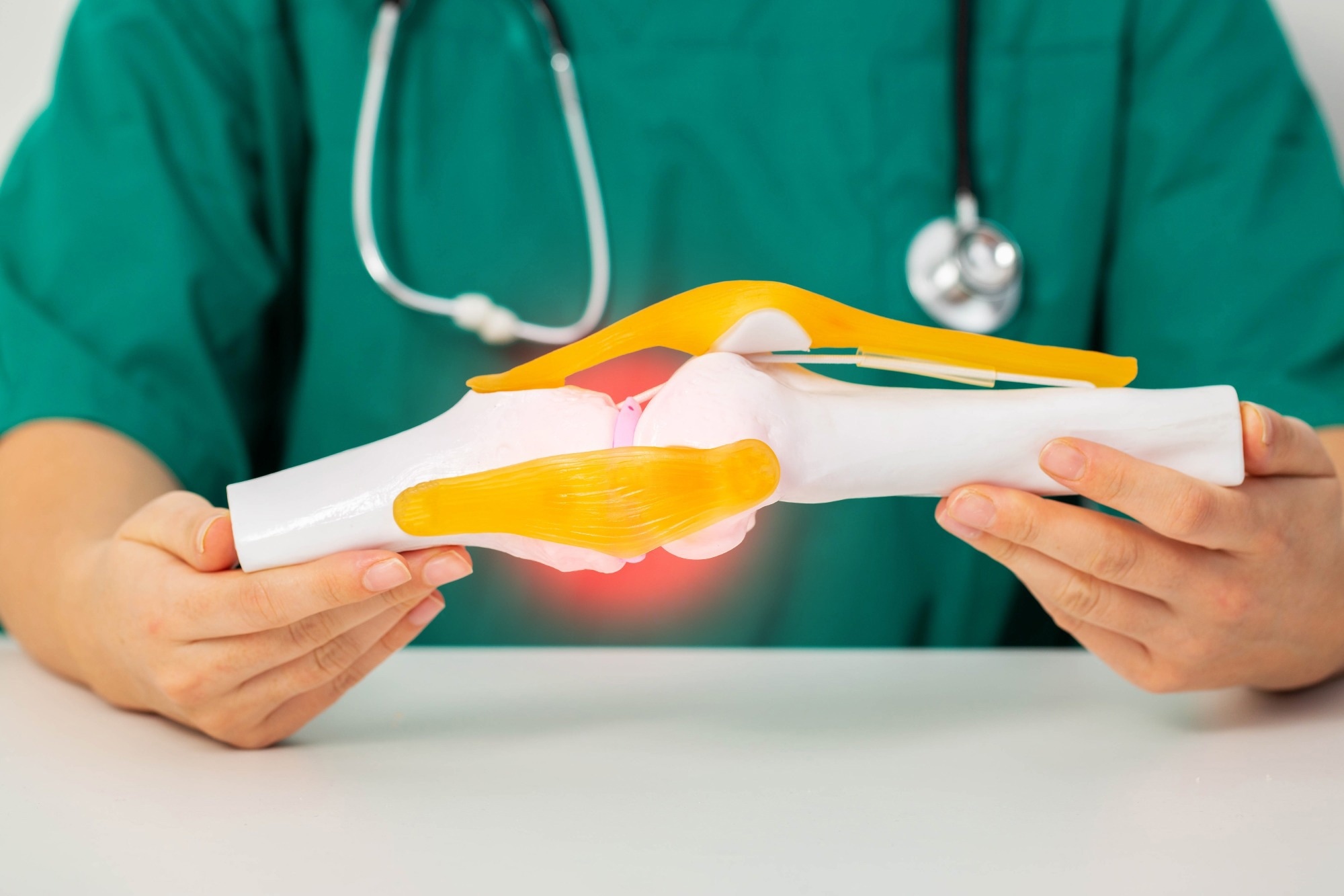 Doctor surgeon holds a medical model of the knee joint in his hands.