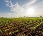 Can We Engineer Crops to Withstand Climate Change and Increasing Temperatures?