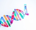 How Does DNA Unwind? Study Explores Helicase Mechanisms In DNA Replication