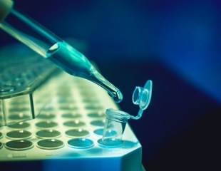 Scientists Build Live African Swine Fever Virus From Synthetic DNA Using CRISPR