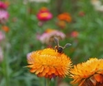 Multifaceted Impact of Human Activities on Biodiversity