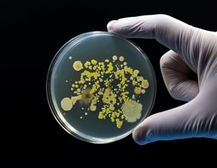 Researchers Develop Quantum-AI Platform to Predict Antimicrobial Resistance in Salmonella