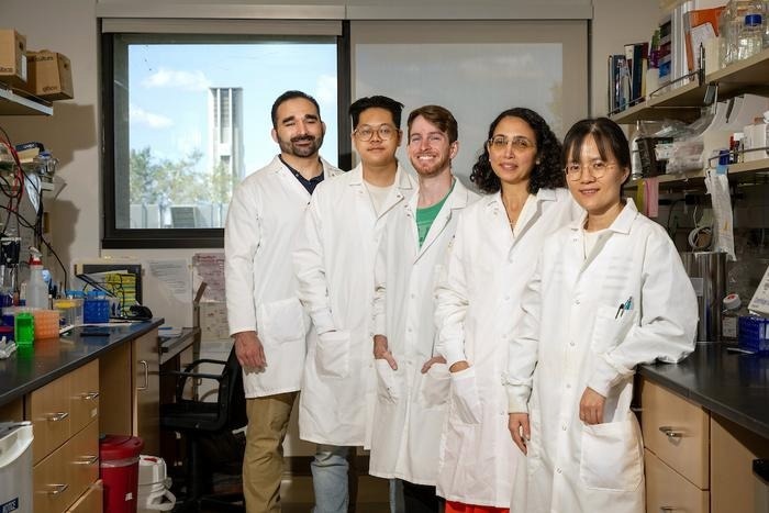 DNA organization offers clues for advancing stem cell therapy