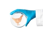 The Future of Chicken? Scientists Grow Whole Cuts in a Bioreactor