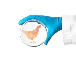 The Future of Chicken? Scientists Grow Whole Cuts in a Bioreactor