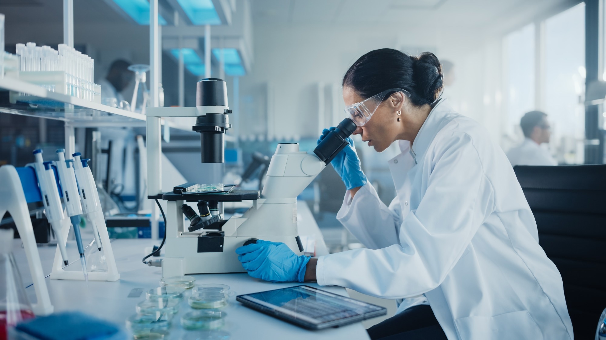Caucasian Female Scientist Looking Under Microscope, Analyzes Petri Dish Sample.