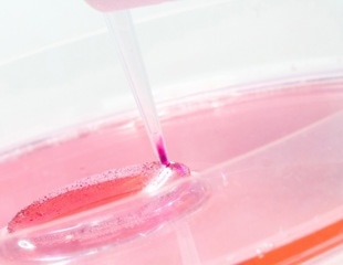 3D Printing Collagen Scaffolds with Perfusable Systems for Tissue Engineering