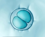 Role of LADs and Epigenetic Pathways in Nuclear Architecture During Early Mouse Embryo Development