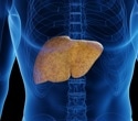 Depleting TM6SF2 in the Gut Worsens Liver Fat Buildup, Study Finds