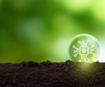 Haematococcus pluvialis Microalga-Derived Nanoparticles Offer Eco-Friendly Boost for Plant Growth and Seed Priming