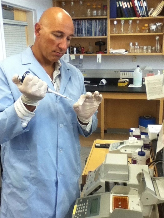 Viral circRNAs Sponge Up Host miRNAs to Weaken Immune Response