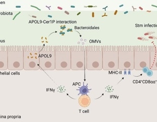 New Mechanism for Selective Host-Microbe Communication in the Gut