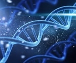 Unraveling the Co-Evolution of Human Height and Basal Metabolic Rate