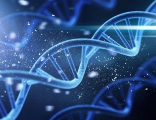 Unraveling the Co-Evolution of Human Height and Basal Metabolic Rate