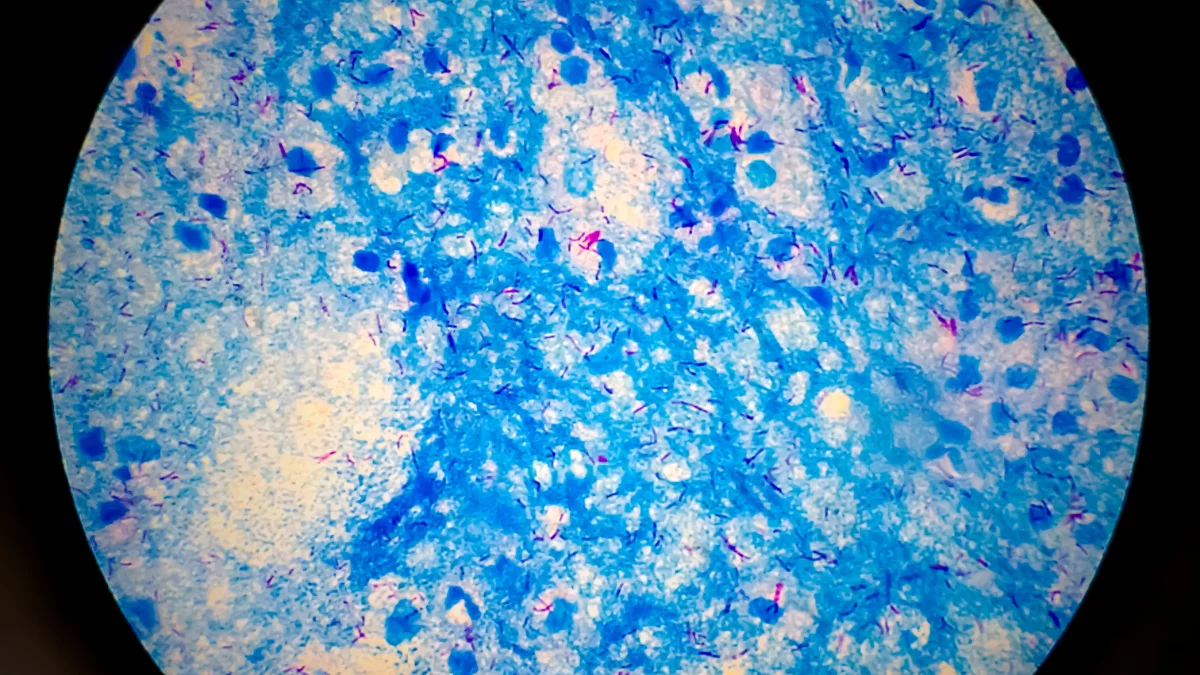 Reversible DNA Modification Controls Replication and Gene Activity