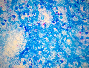 Reversible DNA Modification Controls Replication and Gene Activity