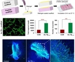 Peptide Metabolites: A New Frontier in Antiviral Therapies