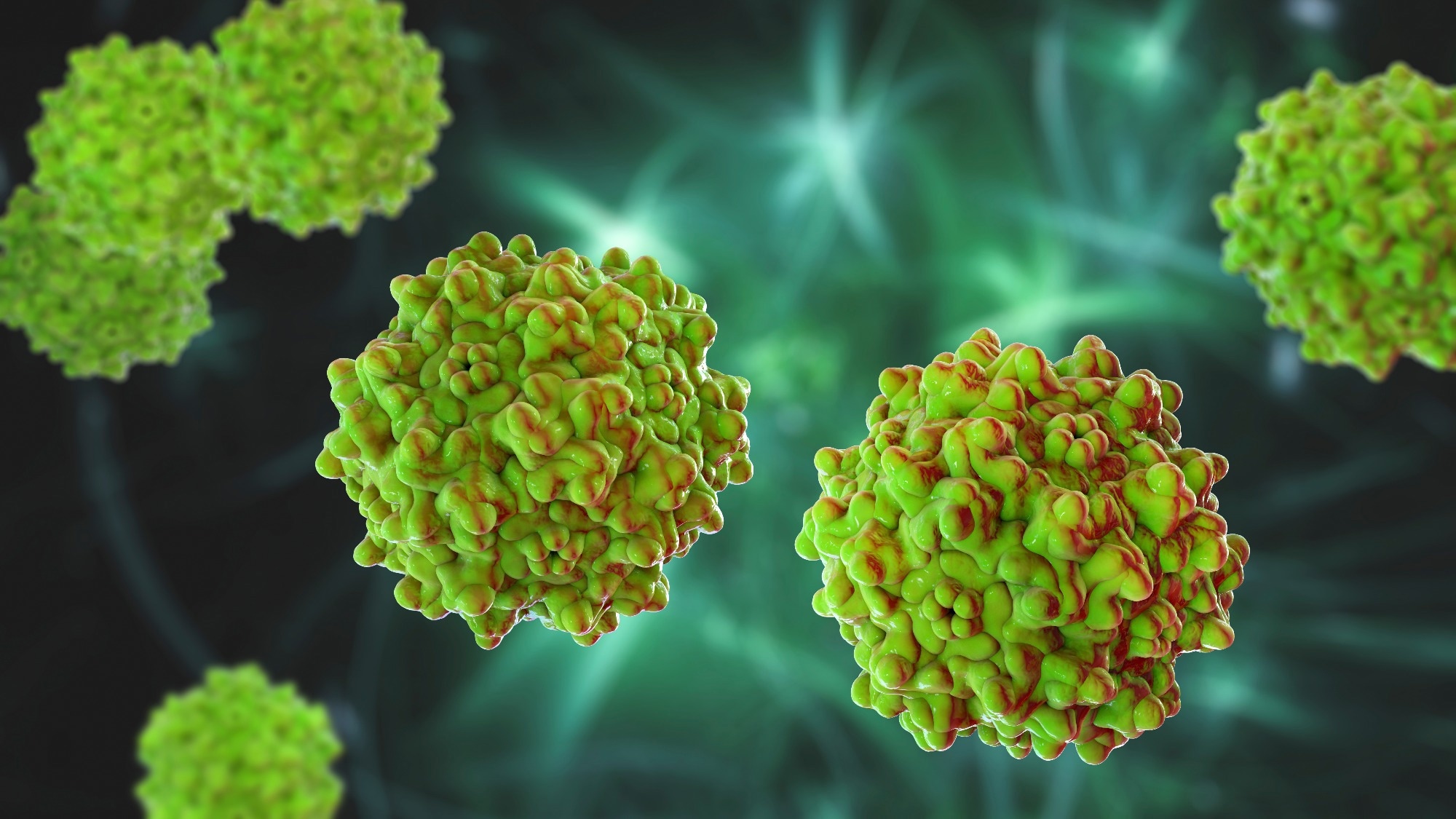 Adeno-associated viruses