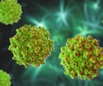 Epigenome Editing: Enhancing Endonuclease Protein Design for In Vivo Applications