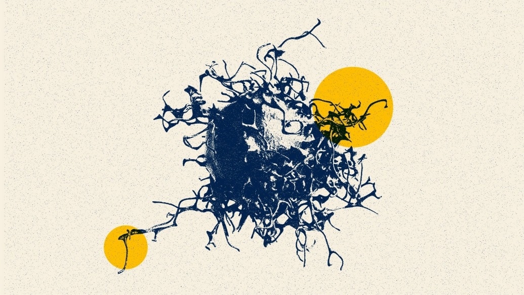 Herpes Virus Protein Enhances T-Cell Survival for Cancer Therapy